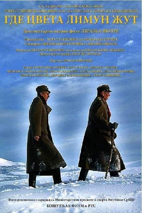 Where the Yellow Lemon Blooms